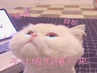 济南简通易证教育科技有限公司
