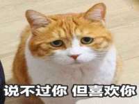 济南简通易证教育科技有限公司