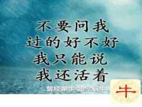 济南简通易证教育科技有限公司