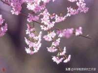 济南简通易证教育科技有限公司