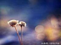 济南简通易证教育科技有限公司