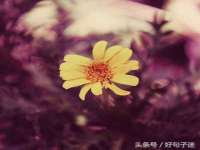 济南简通易证教育科技有限公司