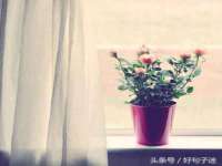 济南简通易证教育科技有限公司