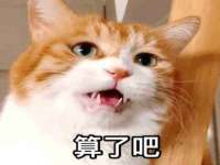 济南简通易证教育科技有限公司