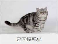 济南简通易证教育科技有限公司