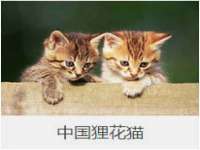 济南简通易证教育科技有限公司