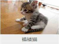 济南简通易证教育科技有限公司