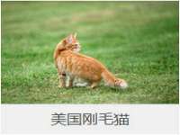 济南简通易证教育科技有限公司