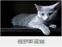 济南简通易证教育科技有限公司