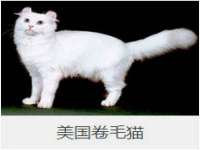 济南简通易证教育科技有限公司