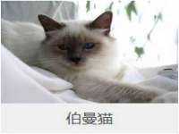 济南简通易证教育科技有限公司