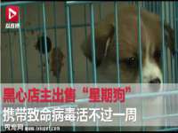 济南简通易证教育科技有限公司
