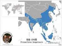 济南简通易证教育科技有限公司