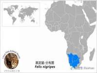 济南简通易证教育科技有限公司