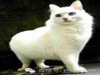 济南简通易证教育科技有限公司