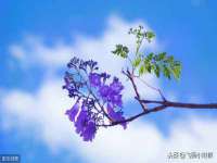 济南简通易证教育科技有限公司