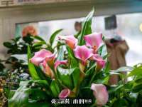 济南简通易证教育科技有限公司