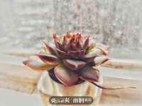 济南简通易证教育科技有限公司