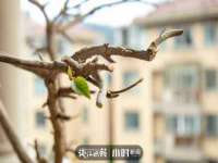 济南简通易证教育科技有限公司
