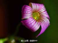 济南简通易证教育科技有限公司