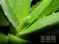 济南简通易证教育科技有限公司