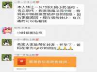 济南简通易证教育科技有限公司