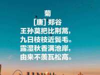 济南简通易证教育科技有限公司