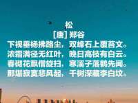 济南简通易证教育科技有限公司