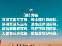 济南简通易证教育科技有限公司