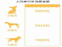 济南简通易证教育科技有限公司