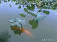 济南简通易证教育科技有限公司