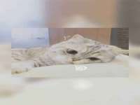 济南简通易证教育科技有限公司