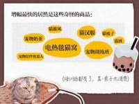 济南简通易证教育科技有限公司
