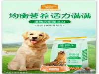 济南简通易证教育科技有限公司