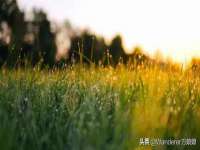 济南简通易证教育科技有限公司