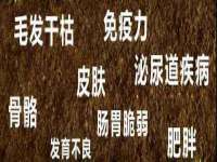 济南简通易证教育科技有限公司