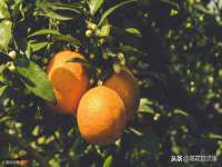 济南简通易证教育科技有限公司