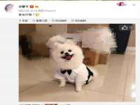 济南简通易证教育科技有限公司