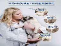 济南简通易证教育科技有限公司