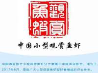 济南简通易证教育科技有限公司