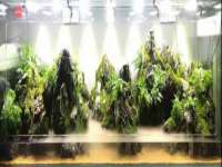 济南简通易证教育科技有限公司