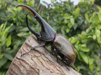 济南简通易证教育科技有限公司