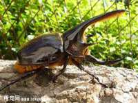 济南简通易证教育科技有限公司