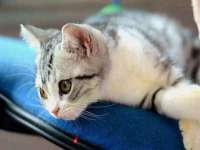 济南简通易证教育科技有限公司