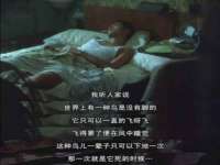 济南简通易证教育科技有限公司