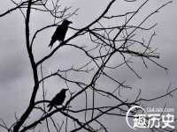 济南简通易证教育科技有限公司