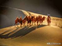 济南简通易证教育科技有限公司