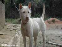 济南简通易证教育科技有限公司