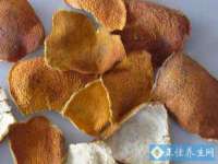 济南简通易证教育科技有限公司