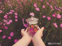 济南简通易证教育科技有限公司